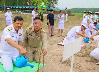 Sattahip Naval Base plants 1,600 trees for royal birthday Vice Adm. Wipak Noyjinda helps plant one of the 1,600 Siamese Rosewood trees to honor HRH Princess Sirindhorn for her 60th birthday.